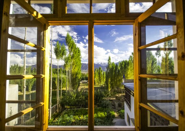 Cost of Wood Window Replacement in Redwood City