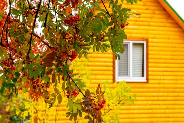 Cost of Garden Window Replacement in Redwood City